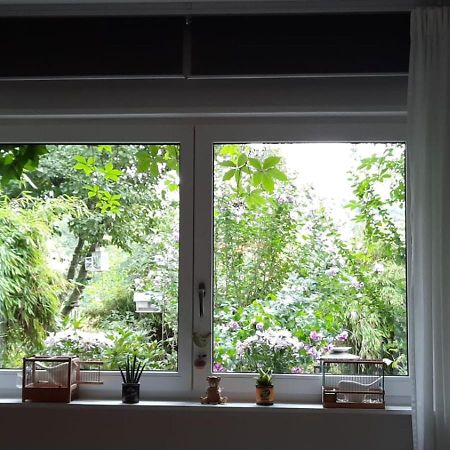 Ferienwohnung Hering In Dill Dış mekan fotoğraf