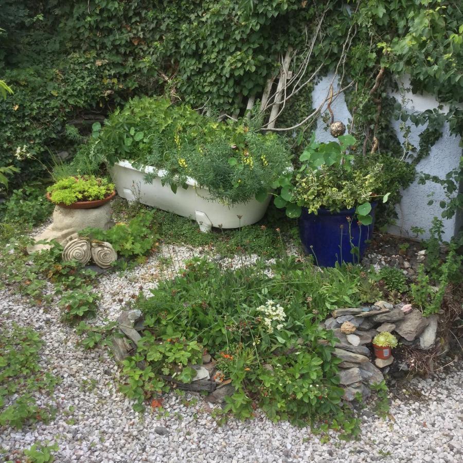 Ferienwohnung Hering In Dill Dış mekan fotoğraf