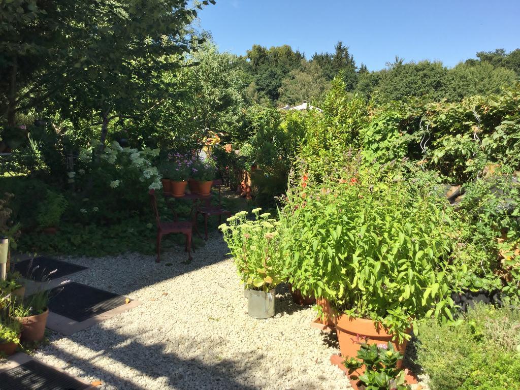 Ferienwohnung Hering In Dill Dış mekan fotoğraf