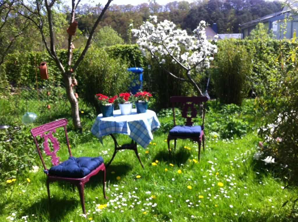 Ferienwohnung Hering In Dill Oda fotoğraf