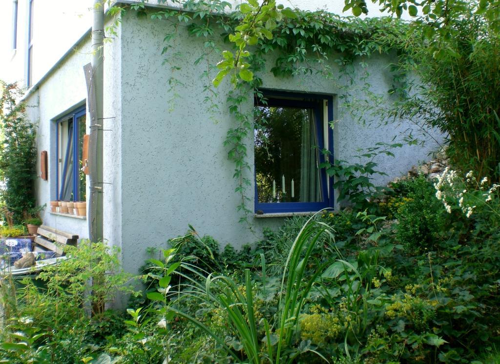 Ferienwohnung Hering In Dill Oda fotoğraf