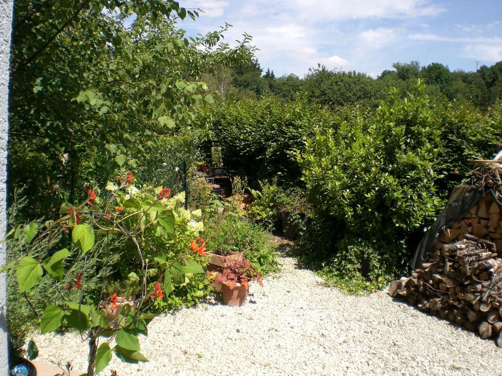 Ferienwohnung Hering In Dill Oda fotoğraf