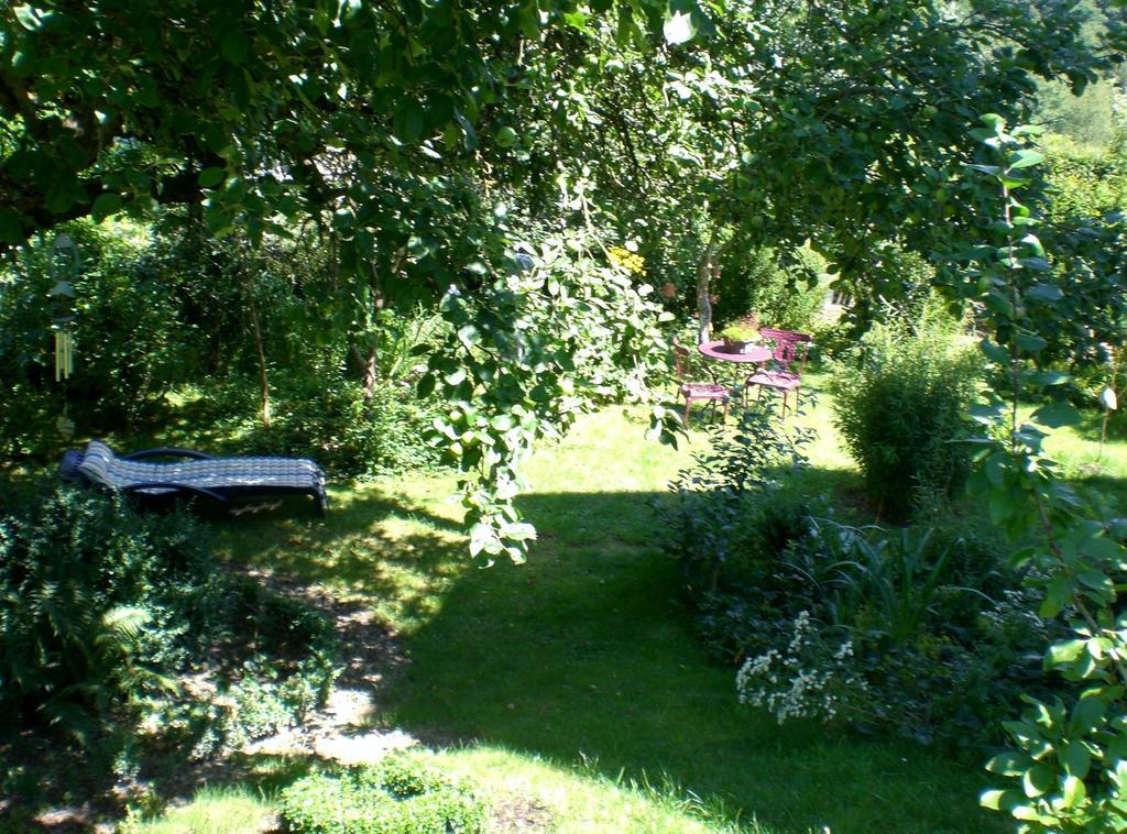 Ferienwohnung Hering In Dill Oda fotoğraf