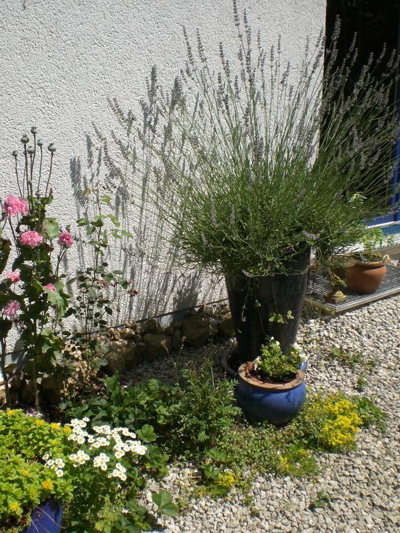 Ferienwohnung Hering In Dill Oda fotoğraf