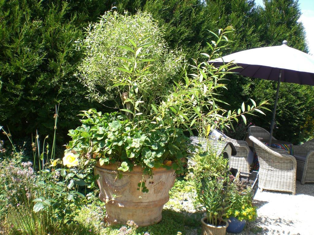 Ferienwohnung Hering In Dill Oda fotoğraf
